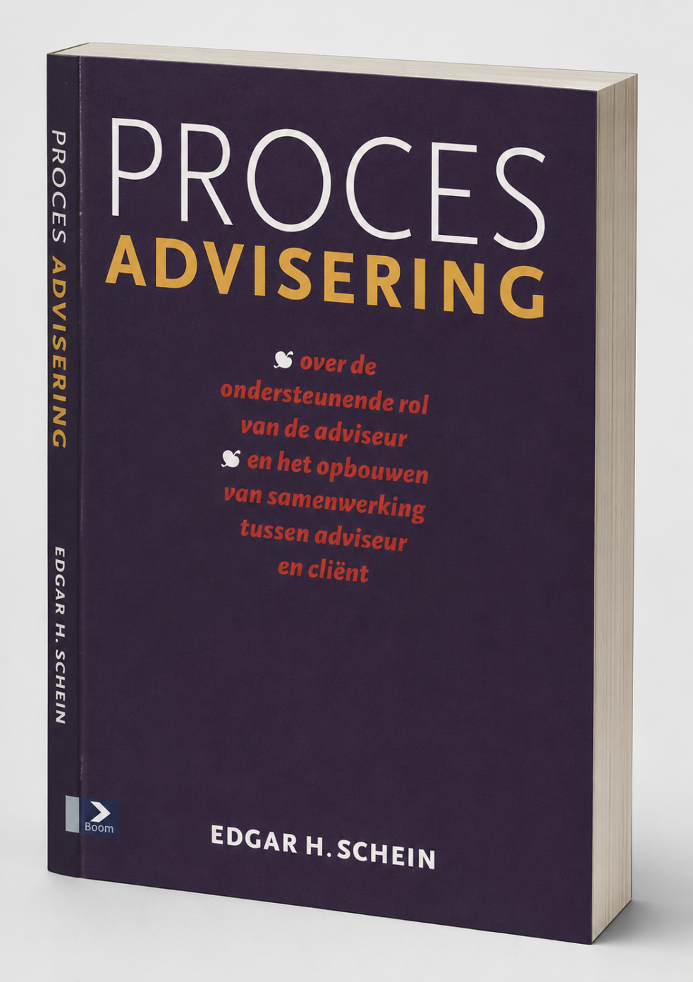 Proces Advisering