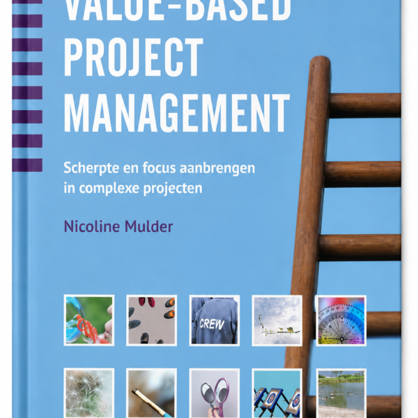 Value-based project management